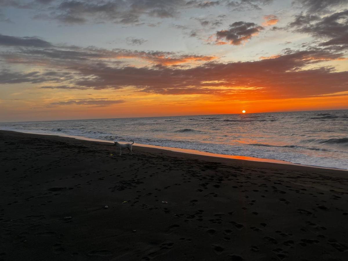 Vistapaloma Beach Resort Odiong Kültér fotó